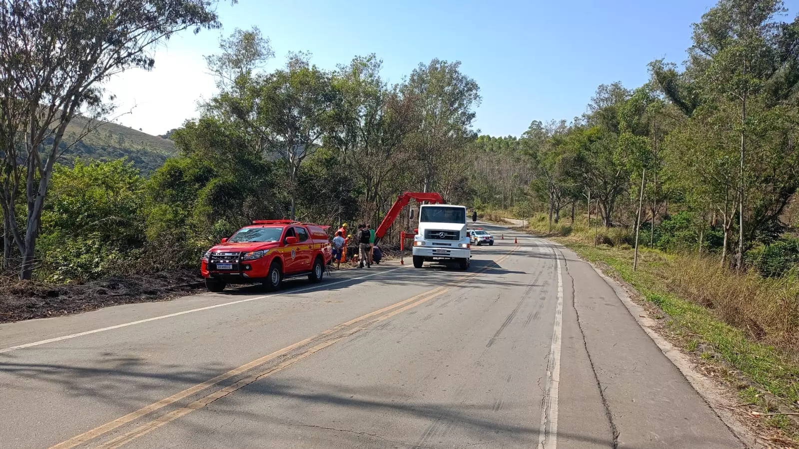 Cavalo é resgatado de cratera na BR-499 em Santos Dumont